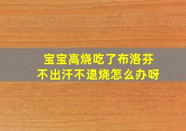 宝宝高烧吃了布洛芬不出汗不退烧怎么办呀