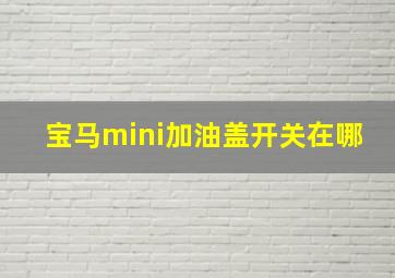 宝马mini加油盖开关在哪