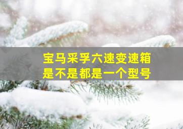 宝马采孚六速变速箱是不是都是一个型号