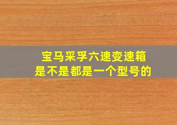 宝马采孚六速变速箱是不是都是一个型号的