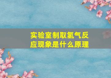 实验室制取氢气反应现象是什么原理