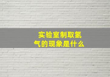 实验室制取氢气的现象是什么