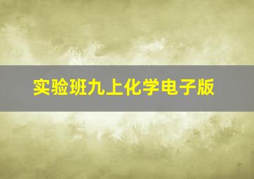 实验班九上化学电子版