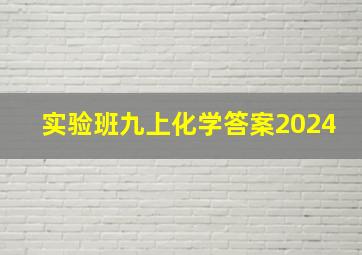 实验班九上化学答案2024