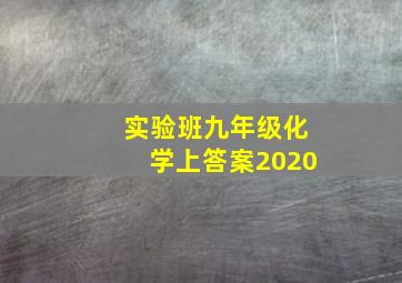 实验班九年级化学上答案2020