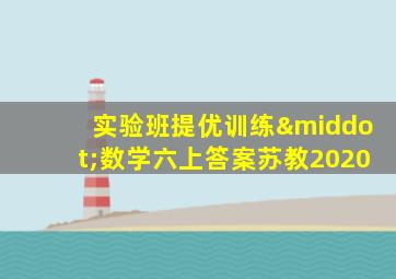 实验班提优训练·数学六上答案苏教2020