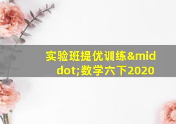 实验班提优训练·数学六下2020