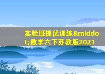 实验班提优训练·数学六下苏教版2021