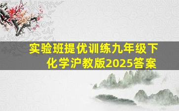 实验班提优训练九年级下化学沪教版2025答案