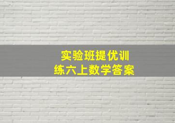 实验班提优训练六上数学答案