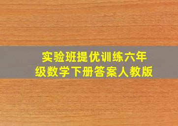 实验班提优训练六年级数学下册答案人教版