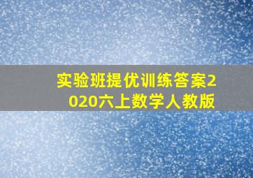 实验班提优训练答案2020六上数学人教版