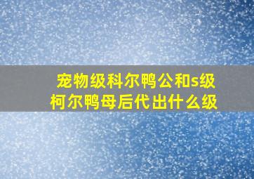 宠物级科尔鸭公和s级柯尔鸭母后代出什么级