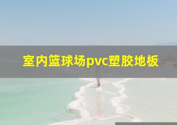 室内篮球场pvc塑胶地板