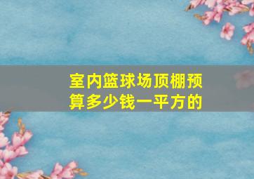 室内篮球场顶棚预算多少钱一平方的