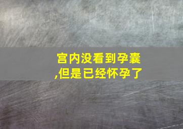 宫内没看到孕囊,但是已经怀孕了