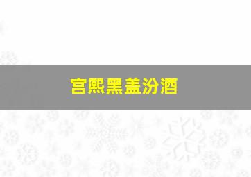 宫熙黑盖汾酒