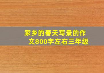 家乡的春天写景的作文800字左右三年级