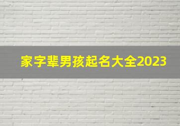 家字辈男孩起名大全2023