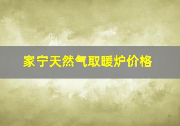 家宁天然气取暖炉价格