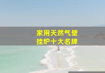 家用天然气壁挂炉十大名牌