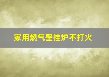 家用燃气壁挂炉不打火