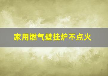 家用燃气壁挂炉不点火