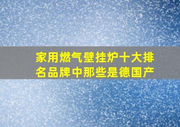 家用燃气壁挂炉十大排名品牌中那些是德国产