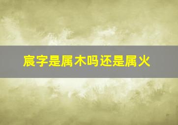 宸字是属木吗还是属火