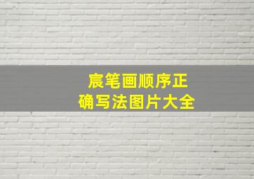 宸笔画顺序正确写法图片大全