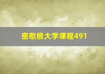 密歇根大学课程491