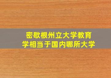 密歇根州立大学教育学相当于国内哪所大学