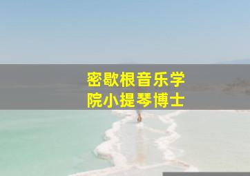 密歇根音乐学院小提琴博士