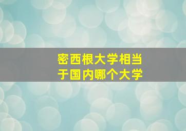 密西根大学相当于国内哪个大学