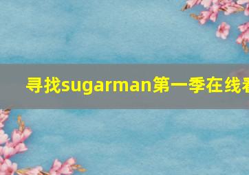 寻找sugarman第一季在线看