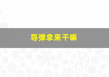 导弹拿来干嘛