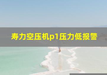 寿力空压机p1压力低报警