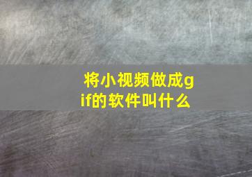 将小视频做成gif的软件叫什么