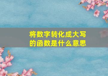 将数字转化成大写的函数是什么意思