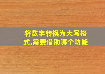 将数字转换为大写格式,需要借助哪个功能