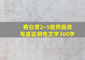 将白鹭2~5自然段改写成说明性文字300字