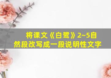 将课文《白鹭》2~5自然段改写成一段说明性文字