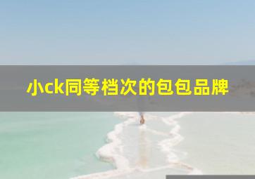 小ck同等档次的包包品牌