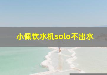 小佩饮水机solo不出水