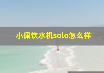 小佩饮水机solo怎么样