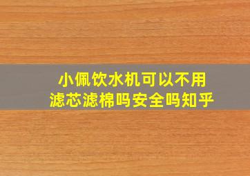 小佩饮水机可以不用滤芯滤棉吗安全吗知乎