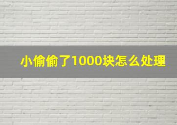 小偷偷了1000块怎么处理