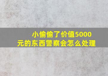 小偷偷了价值5000元的东西警察会怎么处理