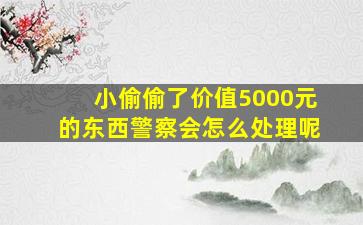 小偷偷了价值5000元的东西警察会怎么处理呢