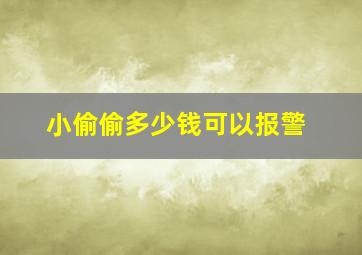 小偷偷多少钱可以报警